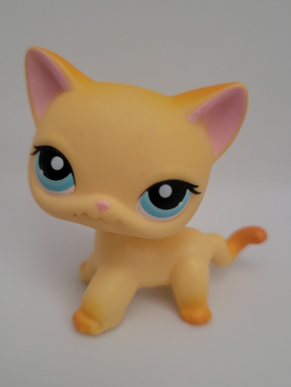 Littlest Pet Shop Shorthair Cat #339 Brooke G2  - LPS Orange Cat 339